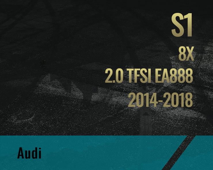 S1, 2.0 TFSI EA888 (8X)