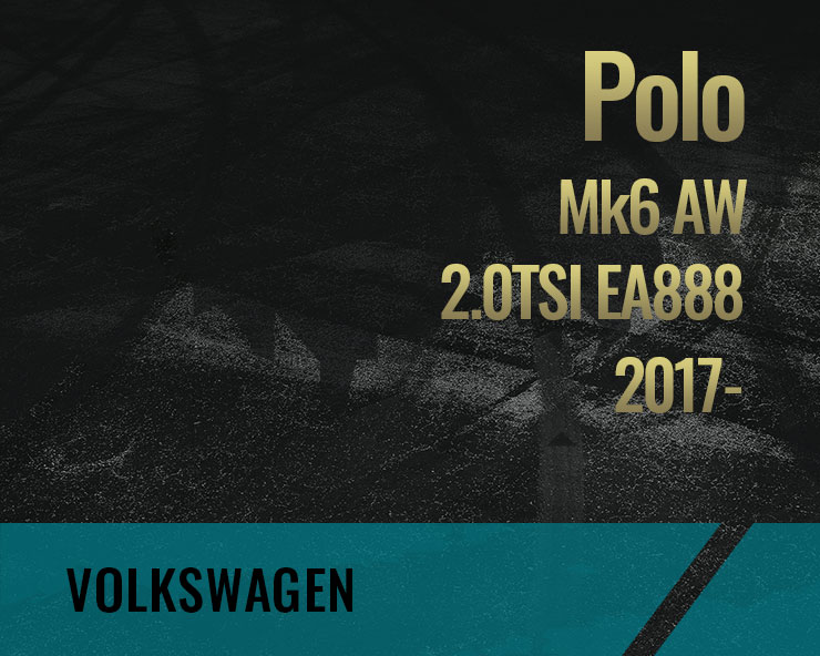 Polo, 2.0 TSI EA888 (Mk 6 AW)